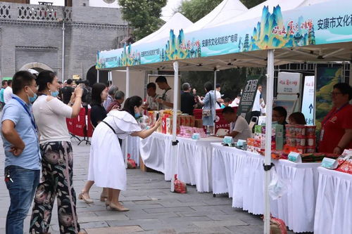 文旅協(xié)作謀發(fā)展 西安文旅對(duì)口幫扶陜南三市